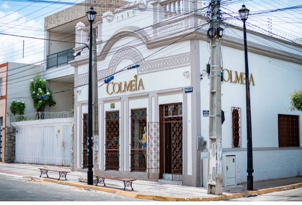 colmeia sobral