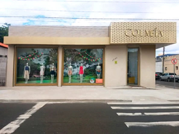 colmeia teresina